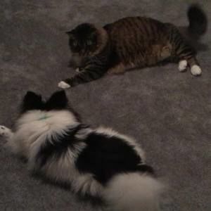 Meet your Posher, Jackie