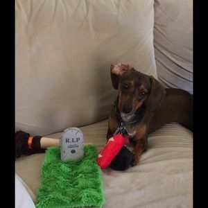 Meet your Posher, Jennifer