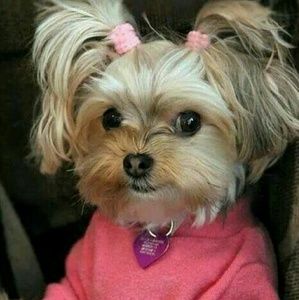 Meet your Posher, Kelly