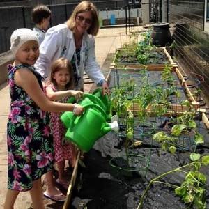 Meet your Posher, Eileen