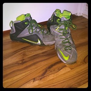 Lebron 12's