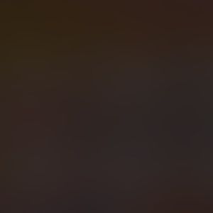 Meet your Posher, Carson