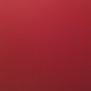 Meet your Posher, Alisha