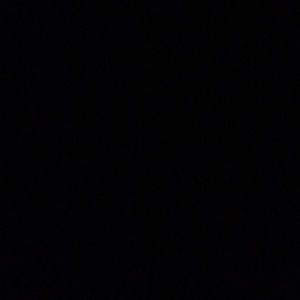 Meet your Posher, Martha