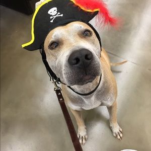 Meet your Posher, Denise