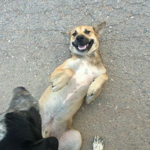 Meet your Posher, Andy