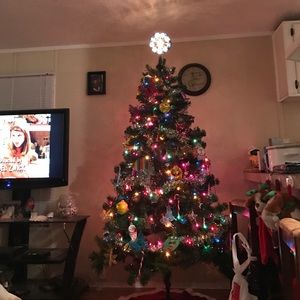 Meet your Posher, Ben