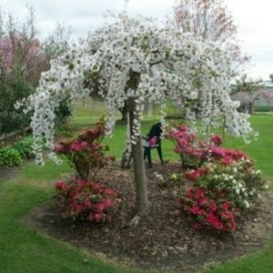 Meet your Posher, Kerri