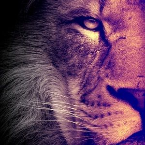 Meet your Posher, Omar