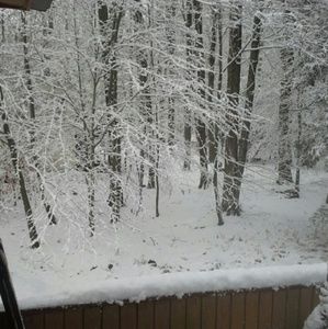 Meet your Posher, Velvet