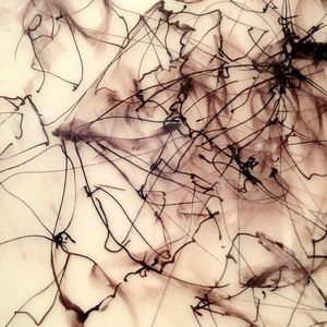 Meet your Posher, Eileen