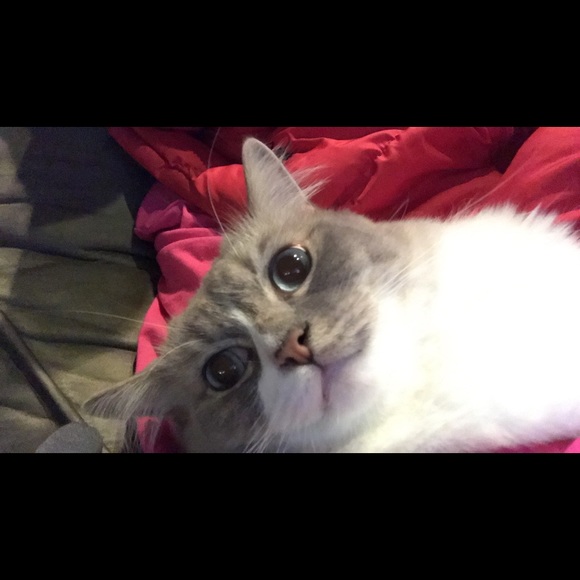 Meet your Posher, Matt - Picture 1 of 1