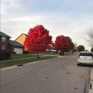 Meet your Posher, Eunsung