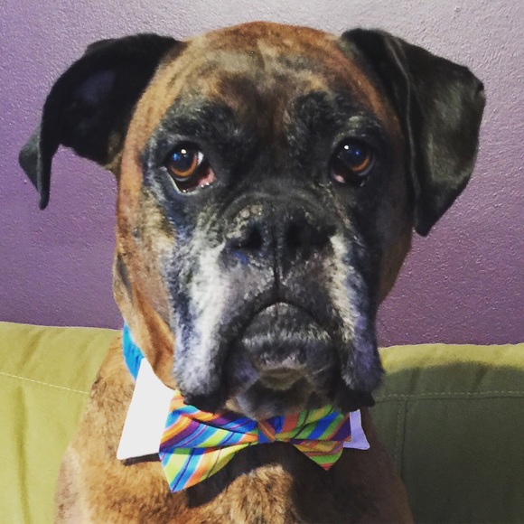 Meet Your Posher, Steff - Picture 2 of 2