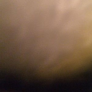 Meet your Posher, Katelyn