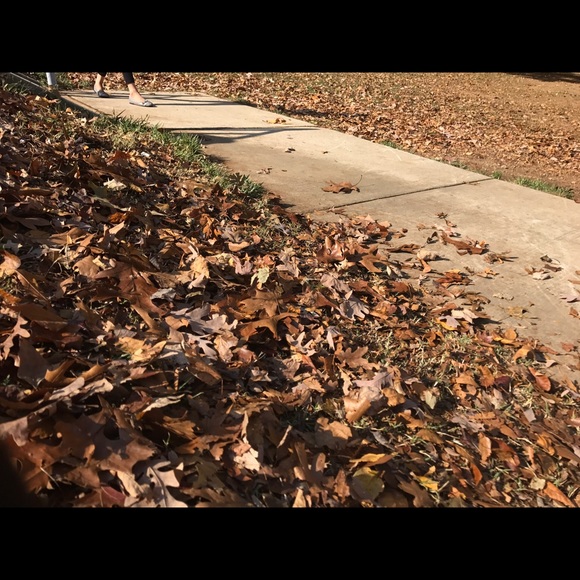 Meet your Posher, Kristen - Picture 1 of 1