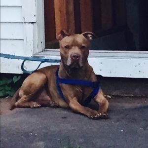 Meet your Posher, Brenda