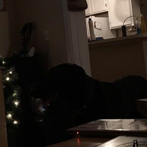 Meet your Posher, Jake