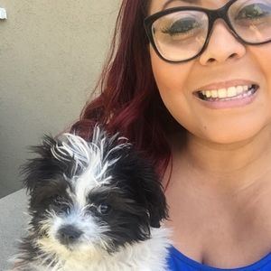 Meet your Posher, Jacqui