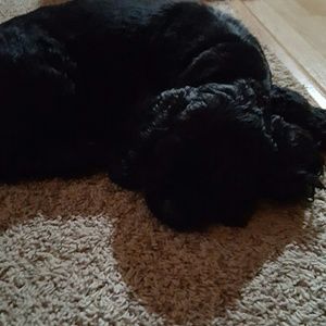 Meet your Posher, Tanya