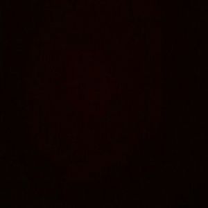 Meet your Posher, Roberto