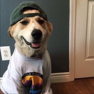 Meet your Posher, Logan