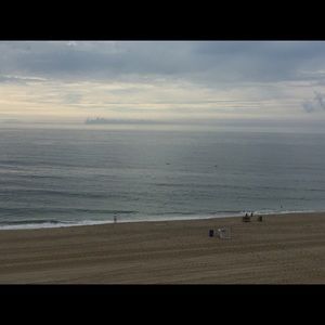 Meet your Posher, Casey