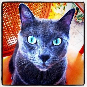 Meet your Posher, Giulia