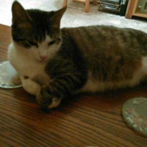 Meet your Posher, Brenda