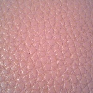 Meet your Posher, Alicxa