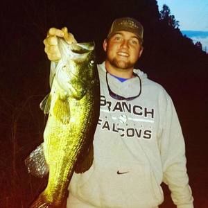 Meet your Posher, Bailey