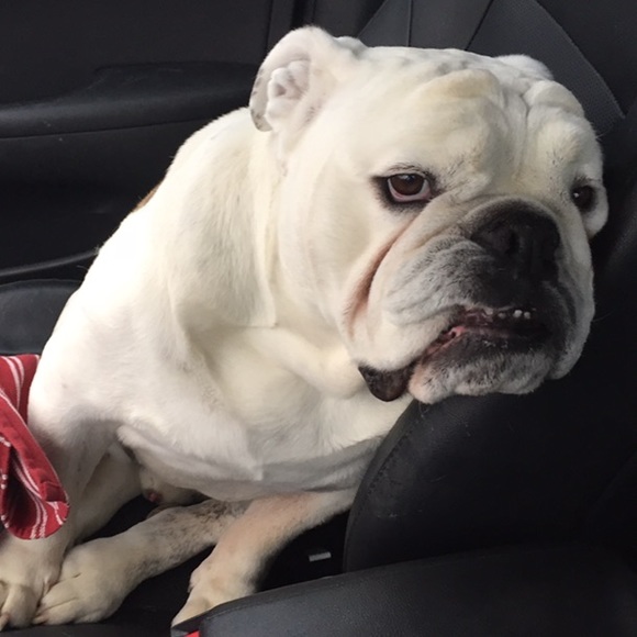 Meet your Posher, Melinda - Picture 2 of 4