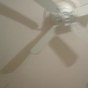 Meet your Posher, Ebone