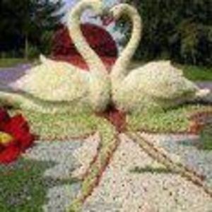 Meet your Posher, Ester