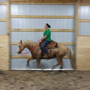 Meet your Posher, Helen