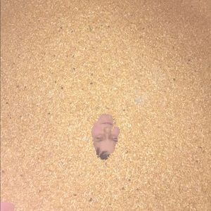 Meet your Posher, Allyson