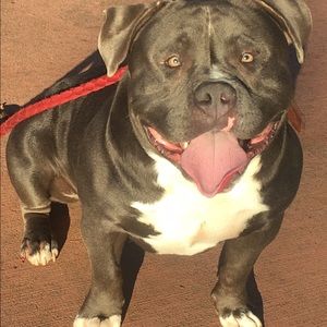 Meet your Posher, Greg