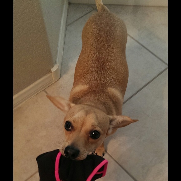 Meet your Posher, Chrissy - Picture 2 of 5