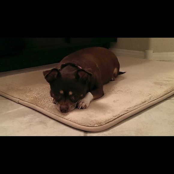 Meet your Posher, Chrissy - Picture 3 of 5