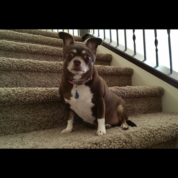 Meet your Posher, Chrissy - Picture 4 of 5