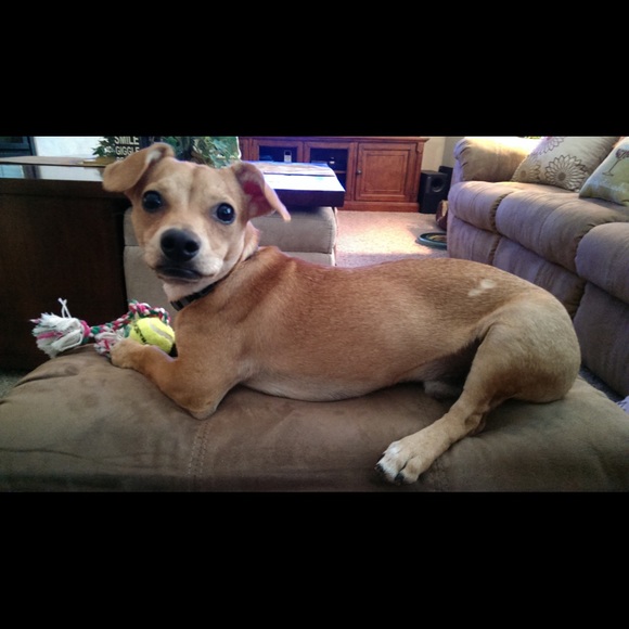 Meet your Posher, Chrissy - Picture 5 of 5