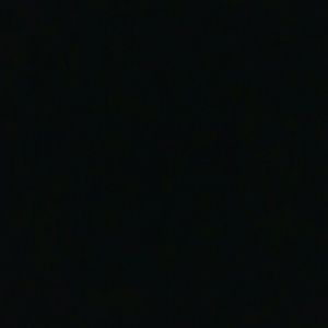 Meet your Posher, Damien