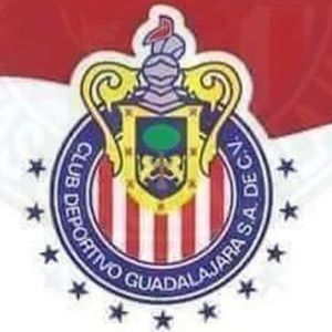 Meet your Posher, Jose