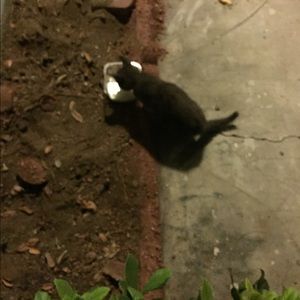 Meet your Posher, Bobby