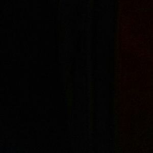 Meet your Posher, Whitney