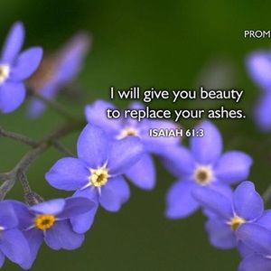 Meet your Posher, Oyebanke