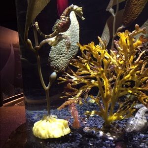 Meet your Posher, Kayleigh