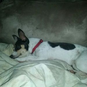 Meet your Posher, Shana