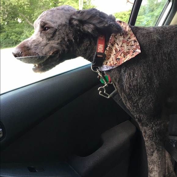 Meet your Posher, Maryrose