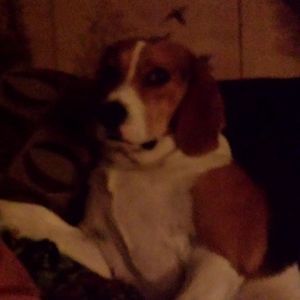 Meet your Posher, Renee